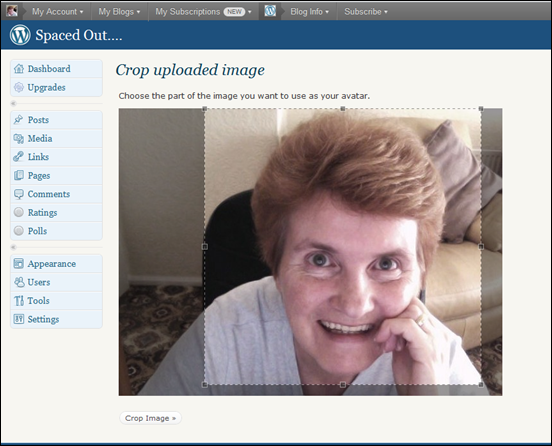 Cropping your Avatar image in WordPress